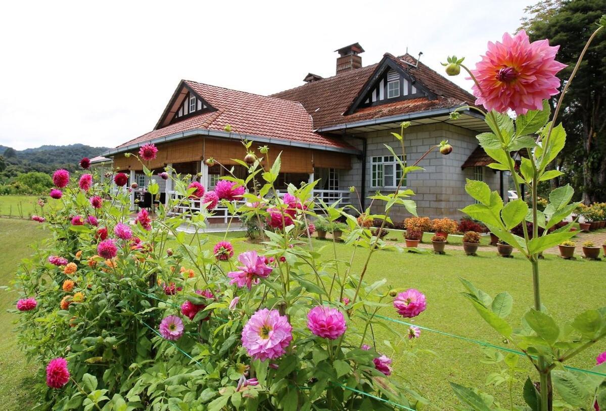 Bukit Lowick Bungalow Tanah Rata Exterior foto